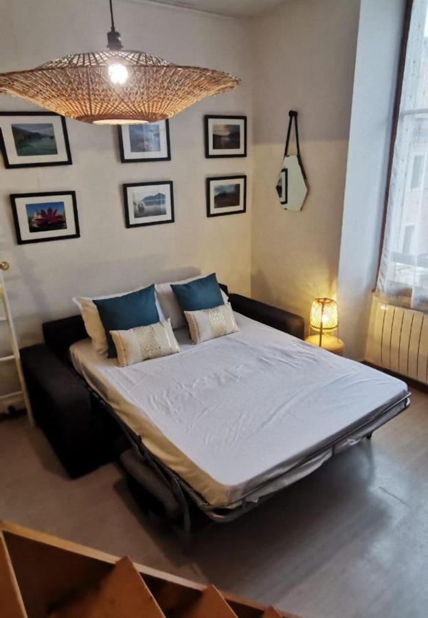Royalement Bien ! Hyper-Centre - Wifi - Netflix - Disney Plus Annecy Ngoại thất bức ảnh